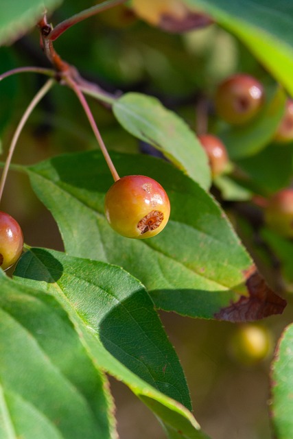 的眼前目标 的眼前目标