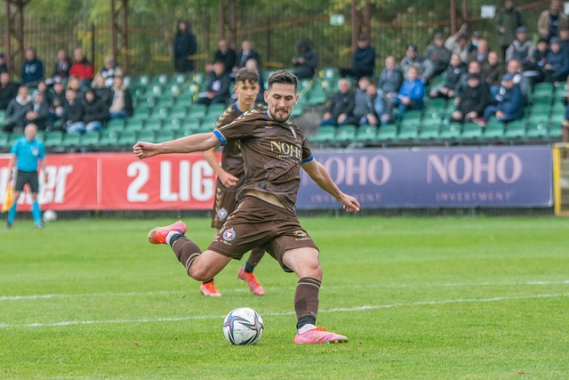 报告查阅 报告查阅