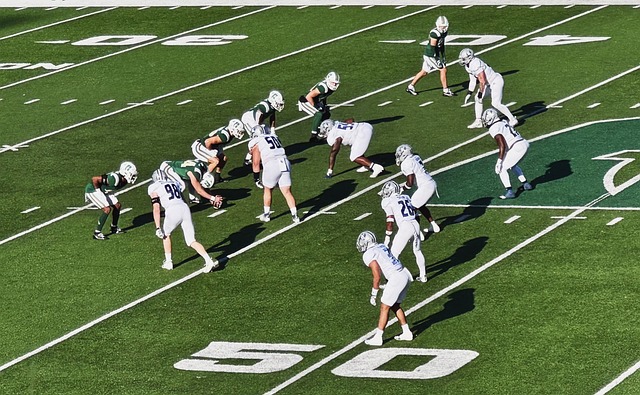 季可能的发 季可能的发